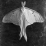 The Moth